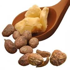 Manteca de cacao  - Bio Ingredients SARL